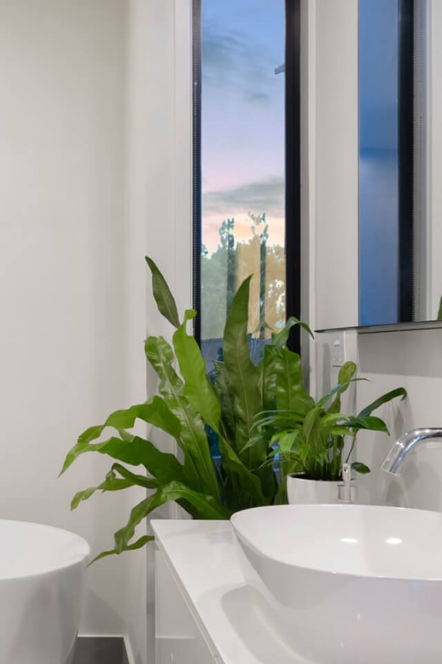 Birdnest Japanese - Imagem 2